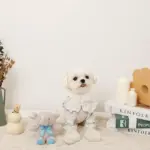 ぞうさんギンガムチェックリボンぬいぐるみ