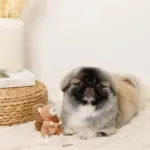 リスさんギンガムチェックリボンぬいぐるみ