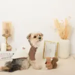 リスさんギンガムチェックリボンぬいぐるみ