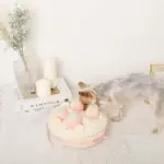 いちごのホールケーキノーズワークおもちゃ