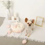 いちごのホールケーキノーズワークおもちゃ