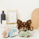 恐竜の仲間達おもちゃSET