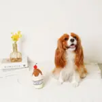 チョコレートホイップドリンクおもちゃ