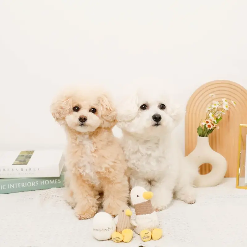 くびながのあひるさん親子SET