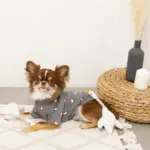 くび長ロープのあひるさん