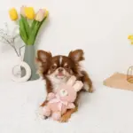 うさぎさんギンガムチェックリボンぬいぐるみ