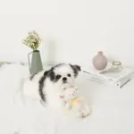 ひつじさんギンガムチェックリボンぬいぐるみ