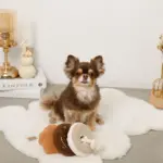 ノーズワークドーナツ型おもちゃ