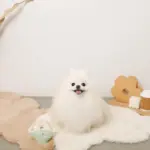 リングドーナツのおもちゃ