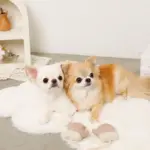 ミトンロープぬいぐるみ