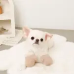 ミトンロープぬいぐるみ