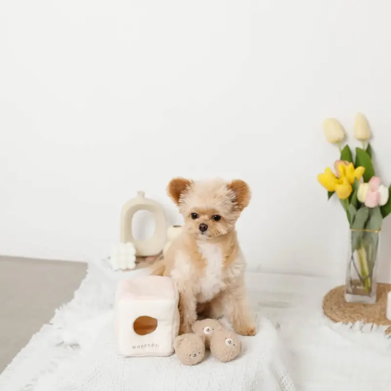 くまさんボールのノーズワークおもちゃ