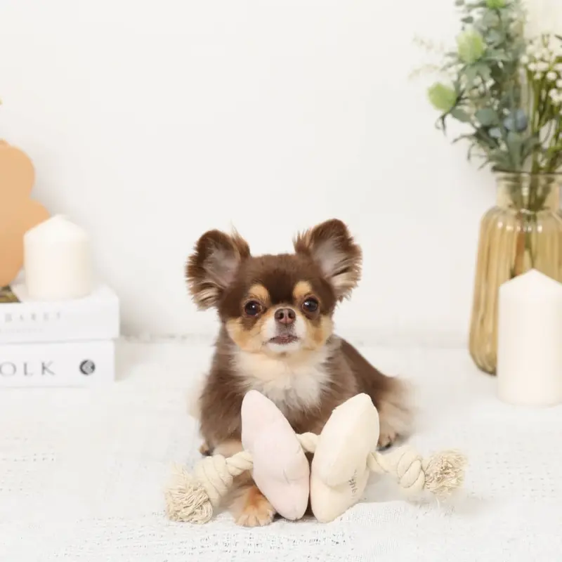 ノーズワークお花型ロープおもちゃ