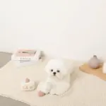 いちごのショートケーキノーズワークおもちゃ