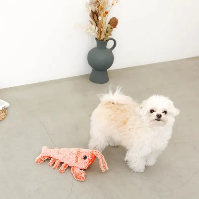 ロブスターおもちゃ USB充電