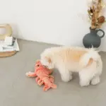 ロブスターおもちゃ USB充電