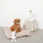 白いうさぎさん