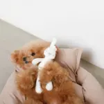 白いうさぎさん