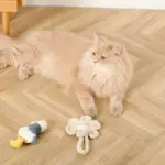 くびながのあひるさん