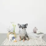 くびながのあひるさん