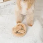 プレッツェルおもちゃ