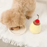 ノーズワークプリンおもちゃ