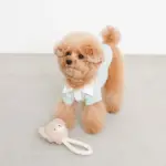 くまさんロープぬいぐるみ