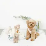 くまさんロープぬいぐるみ