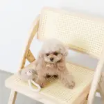 くまさんロープぬいぐるみ