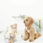 くまさんロープぬいぐるみ