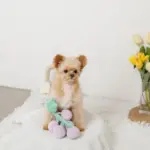 ぶどうノーズワークおもちゃ