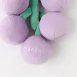 ぶどうノーズワークおもちゃ
