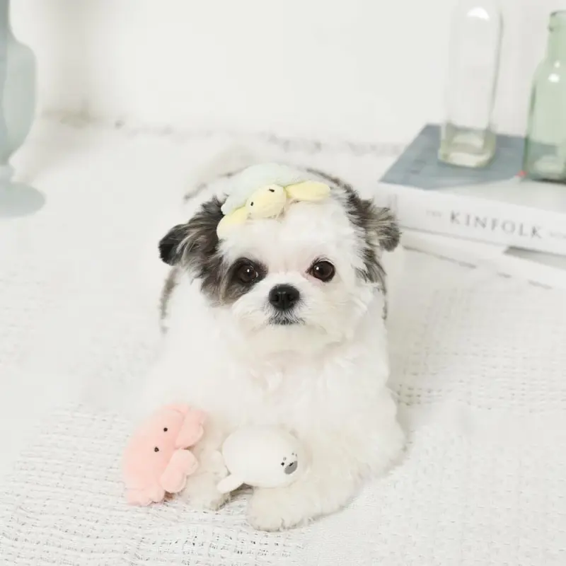 海の仲間たちのおもちゃSET