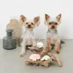 海の仲間たちのおもちゃSET