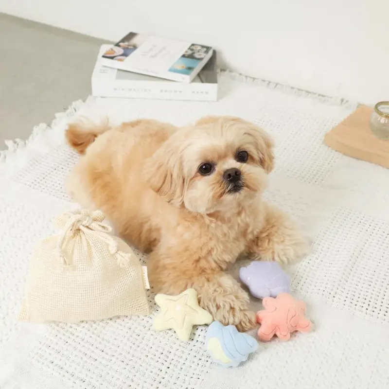 貝殻の仲間たちノーズワークおもちゃ+巾着袋付き