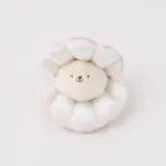 貝殻ノーズワークおもちゃ