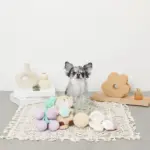 パイナップルノーズワークおもちゃ