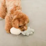 パイナップルノーズワークおもちゃ