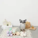 パイナップルノーズワークおもちゃ