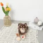 クッキー詰め合わせノーズワークおもちゃ