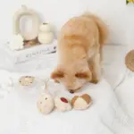 クッキー詰め合わせノーズワークおもちゃ