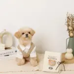 ノーズワークナチュラルブックおもちゃ