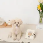 ノーズワークナチュラルブックおもちゃ