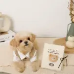 ノーズワークナチュラルブックおもちゃ