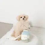 ノーズワークミルクのおもちゃ