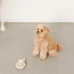 サークルロープうさぎさんぬいぐるみ