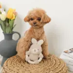 サークルロープうさぎさんぬいぐるみ