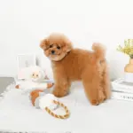 くるくる綱引きブタさん