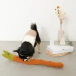 かたつむりノーズワークおもちゃ