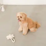 フラワーロープぬいぐるみ